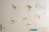  ( - CCDB-25848-C07)  @11 [ ] CreativeCommons - Attribution (2019) CBG Photography Group Centre for Biodiversity Genomics