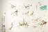  ( - CCDB-25848-C08)  @11 [ ] CreativeCommons - Attribution (2019) CBG Photography Group Centre for Biodiversity Genomics