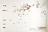  ( - CCDB-25848-C09)  @11 [ ] CreativeCommons - Attribution (2019) CBG Photography Group Centre for Biodiversity Genomics