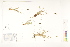  ( - CCDB-25849-A04)  @11 [ ] CreativeCommons - Attribution (2019) CBG Photography Group Centre for Biodiversity Genomics