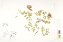  ( - CCDB-25849-C02)  @11 [ ] CreativeCommons - Attribution (2019) CBG Photography Group Centre for Biodiversity Genomics