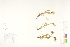  ( - CCDB-25849-D01)  @11 [ ] CreativeCommons - Attribution (2019) CBG Photography Group Centre for Biodiversity Genomics