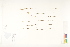  ( - CCDB-25849-E02)  @11 [ ] CreativeCommons - Attribution (2019) CBG Photography Group Centre for Biodiversity Genomics