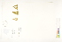  ( - CCDB-25849-F03)  @11 [ ] CreativeCommons - Attribution (2019) CBG Photography Group Centre for Biodiversity Genomics