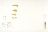  ( - CCDB-25849-F04)  @11 [ ] CreativeCommons - Attribution (2019) CBG Photography Group Centre for Biodiversity Genomics