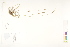  ( - CCDB-25849-G07)  @11 [ ] CreativeCommons - Attribution (2019) CBG Photography Group Centre for Biodiversity Genomics