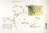  ( - CCDB-25849-G09)  @11 [ ] CreativeCommons - Attribution (2019) CBG Photography Group Centre for Biodiversity Genomics