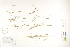  ( - CCDB-25849-G10)  @11 [ ] CreativeCommons - Attribution (2019) CBG Photography Group Centre for Biodiversity Genomics