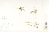  ( - CCDB-25849-H01)  @11 [ ] CreativeCommons - Attribution (2019) CBG Photography Group Centre for Biodiversity Genomics