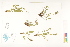  ( - CCDB-25850-A04)  @11 [ ] CreativeCommons - Attribution (2019) CBG Photography Group Centre for Biodiversity Genomics