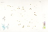  ( - CCDB-25850-D01)  @11 [ ] CreativeCommons - Attribution (2019) CBG Photography Group Centre for Biodiversity Genomics