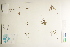  ( - CCDB-25850-D02)  @11 [ ] CreativeCommons - Attribution (2019) CBG Photography Group Centre for Biodiversity Genomics