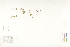  ( - CCDB-25850-G04)  @11 [ ] CreativeCommons - Attribution (2019) CBG Photography Group Centre for Biodiversity Genomics