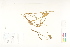  ( - CCDB-25850-H02)  @11 [ ] CreativeCommons - Attribution (2019) CBG Photography Group Centre for Biodiversity Genomics