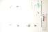  ( - CCDB-34697-B07)  @11 [ ] CreativeCommons - Attribution (2019) CBG Photography Group Centre for Biodiversity Genomics
