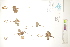  ( - CCDB-34697-F12)  @11 [ ] CreativeCommons - Attribution (2019) CBG Photography Group Centre for Biodiversity Genomics