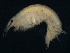  ( - BIOUG12670-A04)  @13 [ ] CreativeCommons - Attribution (2014) CBG Photography Group Centre for Biodiversity Genomics