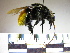  ( - BB1125)  @14 [ ] CreativeCommons - Attribution Non-Commercial No Derivatives (2011) Dr. Berry Brosi Emory University