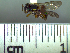  ( - BB122)  @11 [ ] CreativeCommons - Attribution Non-Commercial No Derivatives (2011) Dr. Berry Brosi Emory University