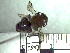  ( - BB137)  @11 [ ] CreativeCommons - Attribution Non-Commercial No Derivatives (2011) Dr. Berry Brosi Emory University