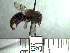  ( - BB137)  @11 [ ] CreativeCommons - Attribution Non-Commercial No Derivatives (2011) Dr. Berry Brosi Emory University