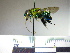  ( - BB1473)  @11 [ ] CreativeCommons - Attribution Non-Commercial No Derivatives (2011) Dr. Berry Brosi Emory University