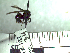  ( - BB162)  @11 [ ] CreativeCommons - Attribution Non-Commercial No Derivatives (2011) Dr. Berry Brosi Emory University