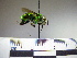  ( - BB1860)  @13 [ ] CreativeCommons - Attribution Non-Commercial No Derivatives (2011) Dr. Berry Brosi Emory University