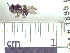  ( - BB1895)  @12 [ ] CreativeCommons - Attribution Non-Commercial No Derivatives (2011) Dr. Berry Brosi Emory University