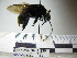  ( - BB1991)  @13 [ ] CreativeCommons - Attribution Non-Commercial No Derivatives (2011) Dr. Berry Brosi Emory University