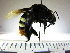  ( - BB1999)  @11 [ ] CreativeCommons - Attribution Non-Commercial No Derivatives (2011) Dr. Berry Brosi Emory University