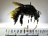  ( - BB2091)  @14 [ ] CreativeCommons - Attribution Non-Commercial No Derivatives (2011) Dr. Berry Brosi Emory University