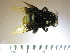  ( - BB2092)  @11 [ ] CreativeCommons - Attribution Non-Commercial No Derivatives (2011) Dr. Berry Brosi Emory University