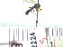  ( - BB2224)  @11 [ ] CreativeCommons - Attribution Non-Commercial No Derivatives (2011) Dr. Berry Brosi Emory University