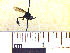  ( - BB2384)  @11 [ ] CreativeCommons - Attribution Non-Commercial No Derivatives (2011) Dr. Berry Brosi Emory University