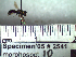  ( - BB2541)  @11 [ ] CreativeCommons - Attribution Non-Commercial No Derivatives (2011) Dr. Berry Brosi Emory University