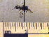  ( - BB3123)  @11 [ ] CreativeCommons - Attribution Non-Commercial No Derivatives (2011) Dr. Berry Brosi Emory University