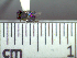  ( - BB3157)  @11 [ ] CreativeCommons - Attribution Non-Commercial No Derivatives (2011) Dr. Berry Brosi Emory University