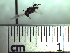  ( - BB3245)  @11 [ ] CreativeCommons - Attribution Non-Commercial No Derivatives (2011) Dr. Berry Brosi Emory University