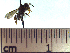  ( - BB3278)  @12 [ ] CreativeCommons - Attribution Non-Commercial No Derivatives (2011) Dr. Berry Brosi Emory University