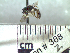  ( - BB388)  @12 [ ] CreativeCommons - Attribution Non-Commercial No Derivatives (2011) Dr. Berry Brosi Emory University