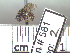  ( - BB581)  @13 [ ] CreativeCommons - Attribution Non-Commercial No Derivatives (2011) Dr. Berry Brosi Emory University