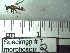  ( - BB#07)  @13 [ ] CreativeCommons - Attribution Non-Commercial No Derivatives (2011) Dr. Berry Brosi Emory University