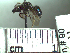 ( - BB#90)  @11 [ ] CreativeCommons - Attribution Non-Commercial No Derivatives (2011) Dr. Berry Brosi Emory University