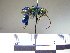  ( - BB990)  @11 [ ] CreativeCommons - Attribution Non-Commercial No Derivatives (2011) Dr. Berry Brosi Emory University