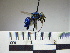  ( - BBEugl05 19)  @12 [ ] CreativeCommons - Attribution Non-Commercial No Derivatives (2011) Dr. Berry Brosi Emory University