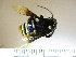  ( - BBEugl05 56)  @13 [ ] CreativeCommons - Attribution Non-Commercial No Derivatives (2011) Dr. Berry Brosi Emory University