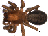  ( - 01-BB09CN-F08)  @13 [ ] CreativeCommons - Attribution (2010) Gergin Blagoev, Centre for Biodiversity Genomics Centre for Biodiversity Genomics