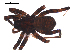  ( - 01-BB09CN-G02)  @13 [ ] CreativeCommons - Attribution (2010) Gergin Blagoev, Centre for Biodiversity Genomics Centre for Biodiversity Genomics