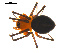  ( - CCDB-04285-A03)  @13 [ ] CreativeCommons - Attribution (2010) Gergin Blagoev, Centre for Biodiversity Genomics Centre for Biodiversity Genomics
